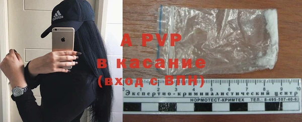 крисы Каменногорск