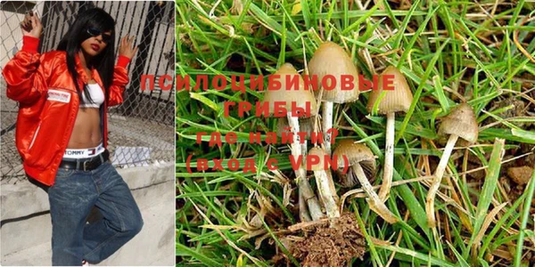 спайс Каменка