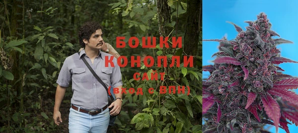 спайс Каменка
