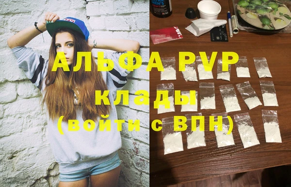 спайс Каменка