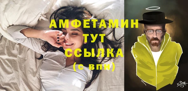 спайс Каменка