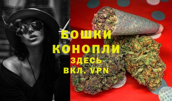 спайс Каменка