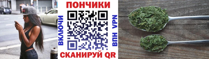 Купить где  Кисловодск  Бошки марихуана Amnesia 